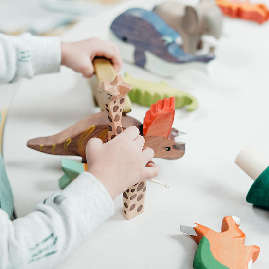 Jouets en bois