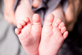 Anatomically Speaking: The Role of Feet and Ankles in Body Organization