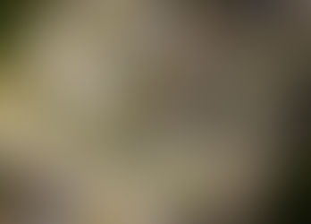 Opportunity for Jobs and Housing in Regionally Significant Broadmeadow Precinct