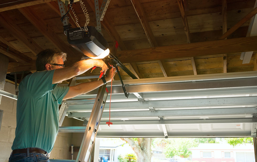 Professional automatic garage door