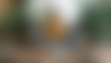 Criando uma rotina de estudos