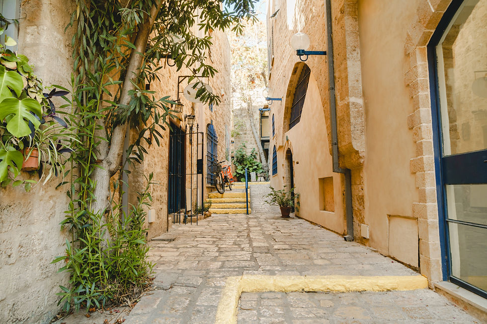 Charming Stone Alley