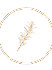 Alecrim