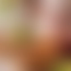 The Kitchen Confidence You Actually Need (Not 100 Recipes)