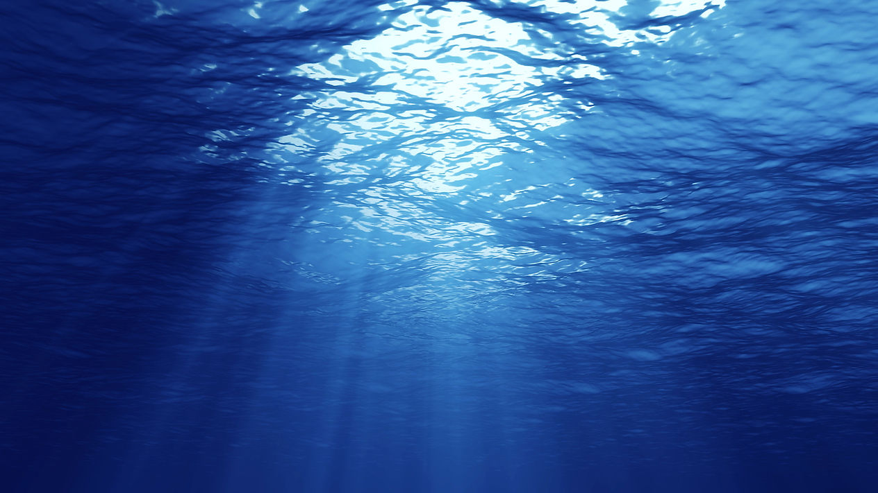 海