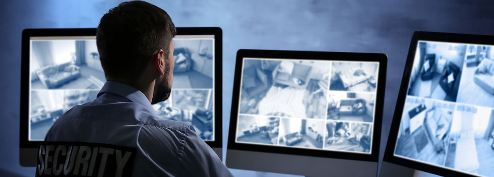 Configuración del monitor de seguridad
