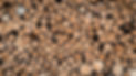 Wooden logs cut from big trees and small