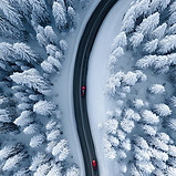 Route de la forêt enneigée