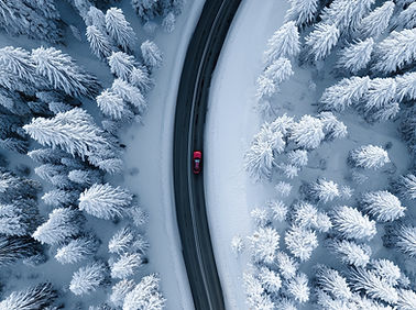 Snowy Forest Road
