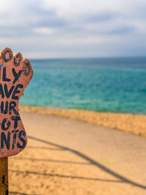 The rise of Truly Sustainable Solutions