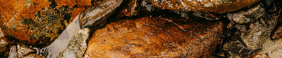 Textured Wet Rocks