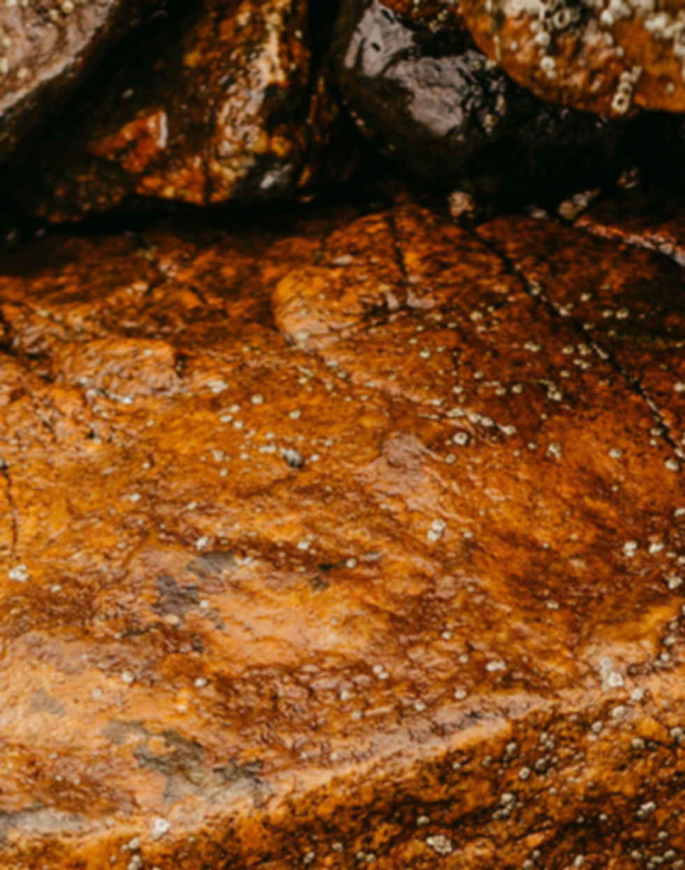 Textured Wet Rocks