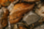 Rock in Stream