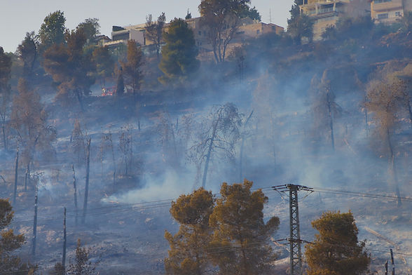 Wildfires