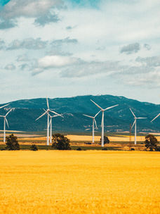 How Can ESG and Sustainable Business Practices Shape the Future of Green Horizons?