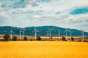 Energia Verde como Plano de Governo