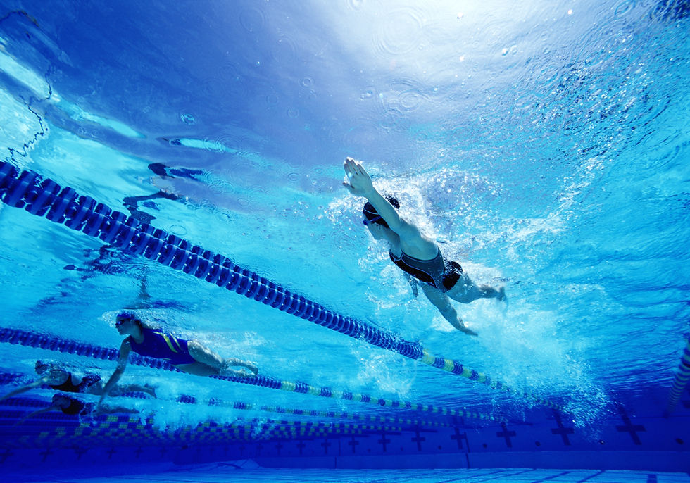 Swimmers In Pool