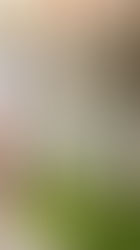 What tenants are looking for in Christchurch right now