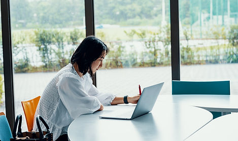 Laptop Office Worker