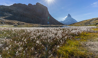 Montagne et lac