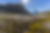 Wild Landscape