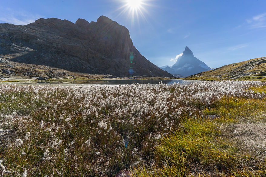 Wild Landscape