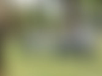 Làm từ thiện không phải vì nhiều tiền, mà vì những lý do gì?