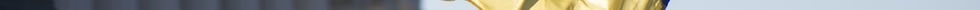 Ukraine Flag