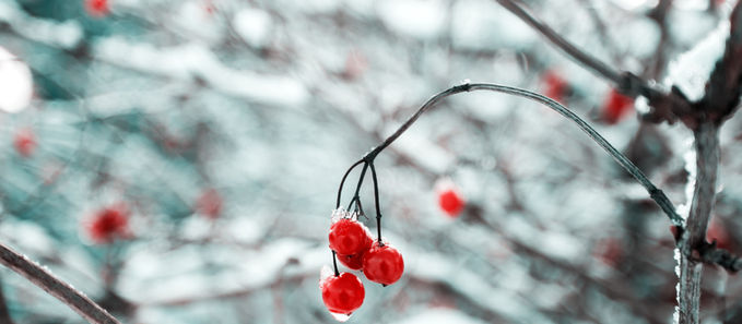 E iarnă! Cum am grijă de tiroida mea?