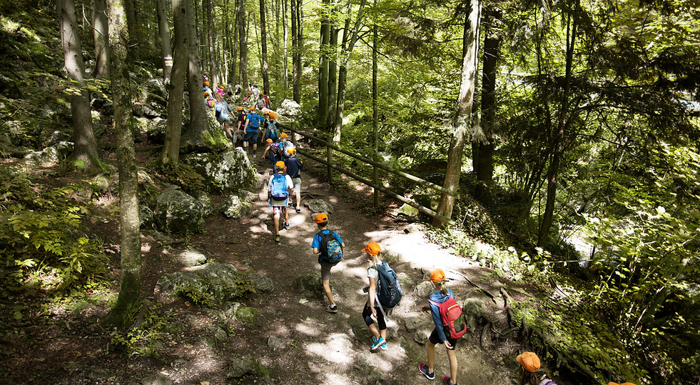 Klassenfahrt im Wald
