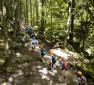 School Trip in Forest