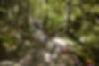 School Trip in Forest
