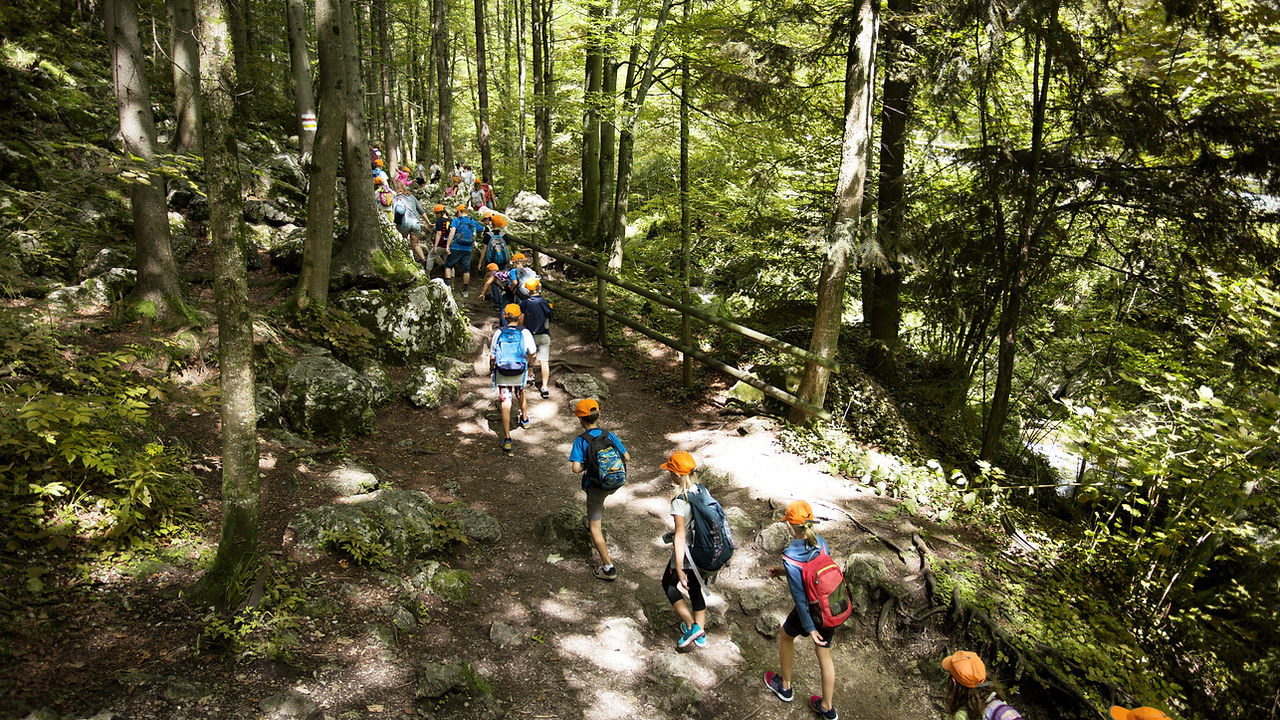 Schoolreis in het bos