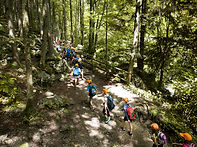 Viaje escolar en el bosque