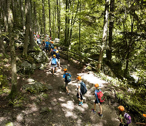 School Trip in Forest