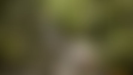 Hill Junior School: Weekly Parent Information