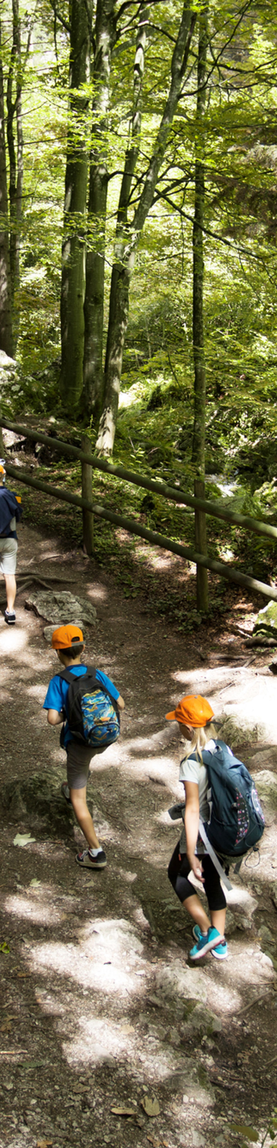 School Trip in Forest