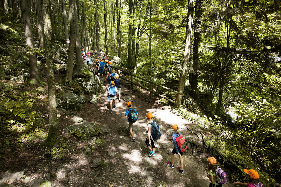 Viaje escolar en el bosque