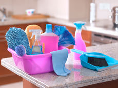 Deep Cleaning Your Home Like a Pro & Keeping Your Pets In Mind