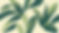 Green Leaf Illustration