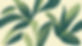 Green Leaf Illustration