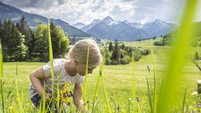 Zecken - Gefahr in der Natur