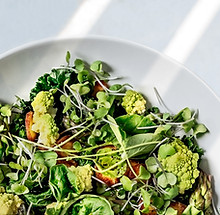 Salade fraiche