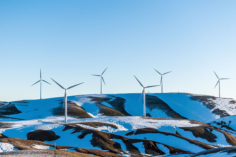 Energy Farm