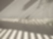 Light and Shadow