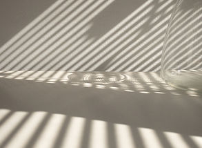 Light and Shadow