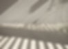 Light and Shadow
