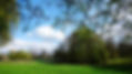 Trees On Grassy Field Against Sky At Wilmslow