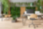 Eco-Friendly Open Plan Modern Office With Tables, Office Chairs, Pendant Lights, Creeper P