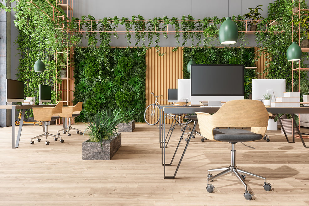 Eco-Friendly Open Plan Modern Office With Tables, Office Chairs, Pendant Lights, Creeper P